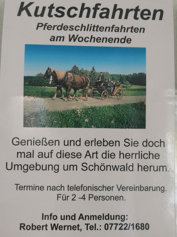Ferienwohnung Schoene Wohnung 2D-Gebaeude Mit Mini-Garten Schönwalde Esterno foto
