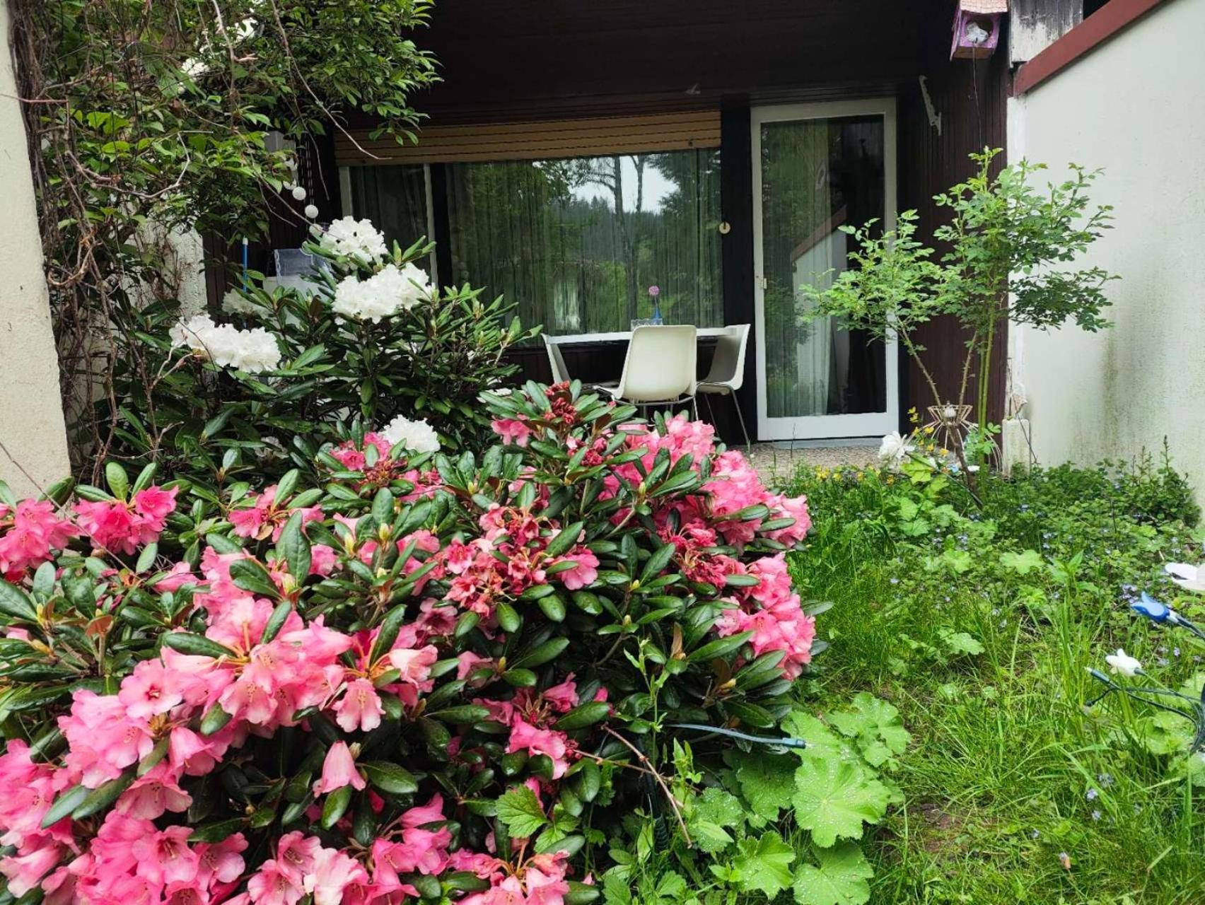 Ferienwohnung Schoene Wohnung 2D-Gebaeude Mit Mini-Garten Schönwalde Esterno foto